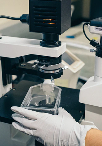 Proteomics Service